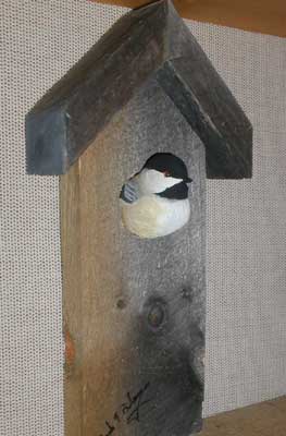 Chickadee in Birdhouse