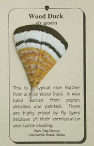 Wood Duck Feather Pin Card